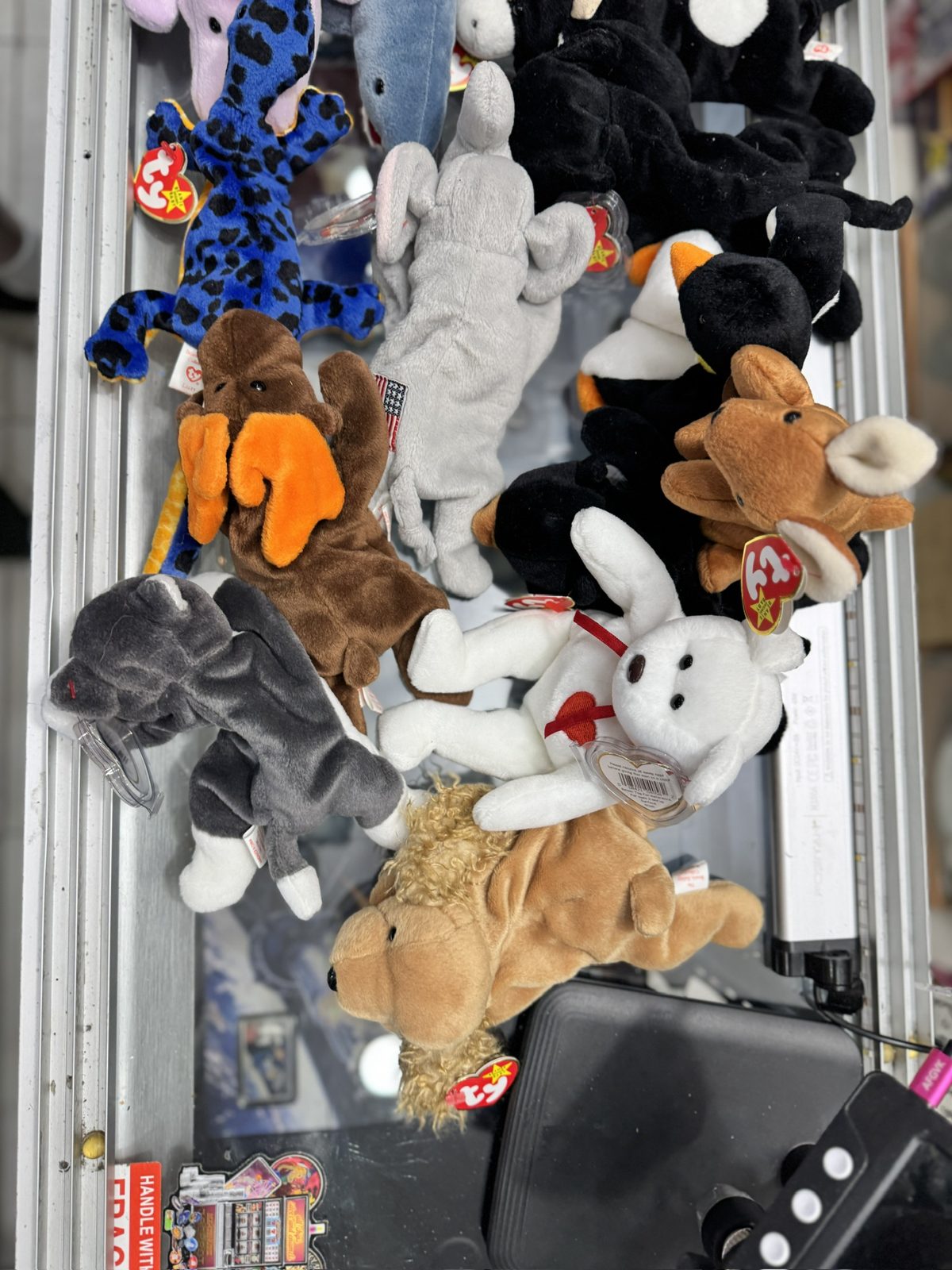 Beanie Babies at Dadd's