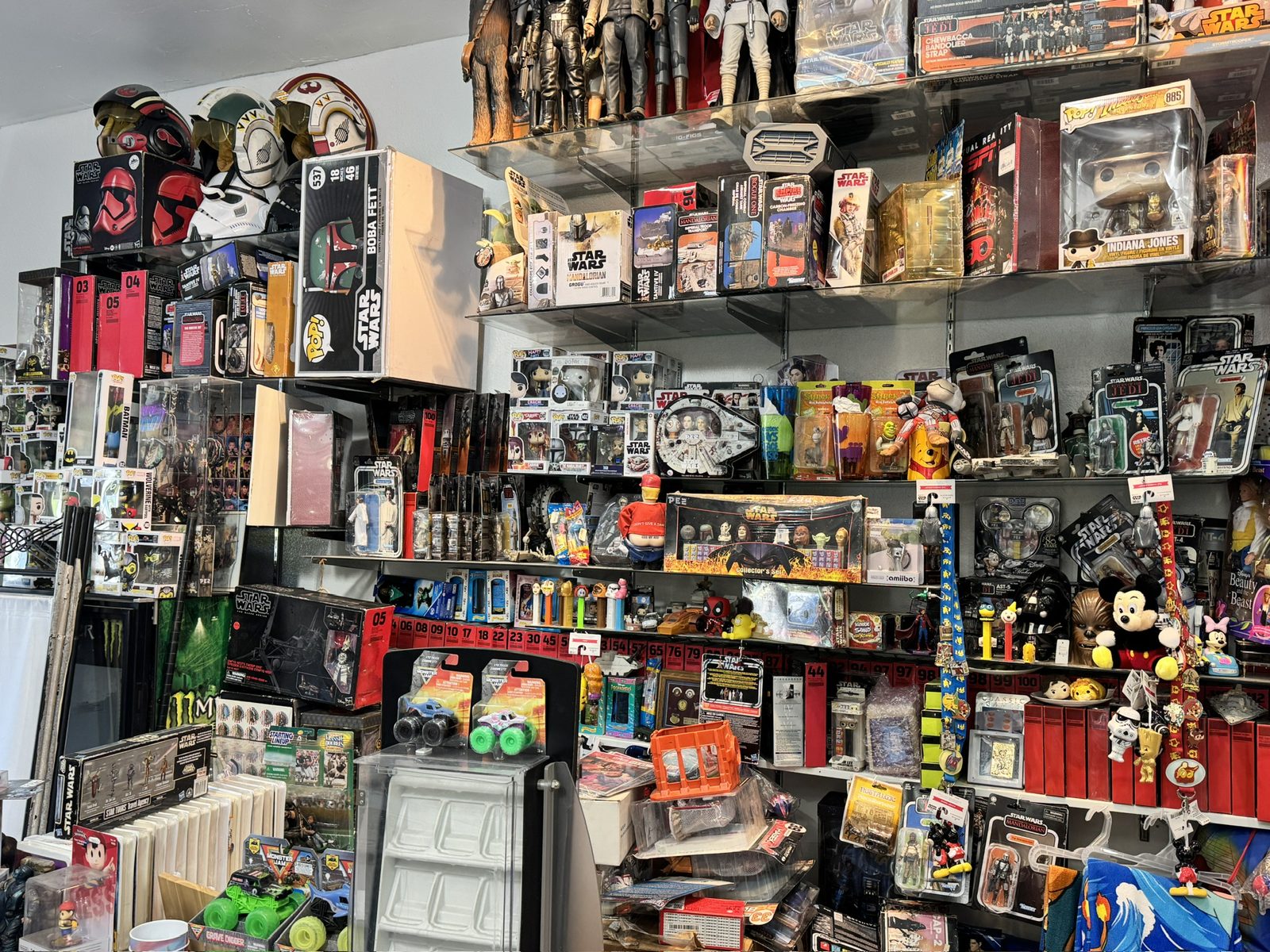 Wall of graded coins and collectibles at Dadd's
